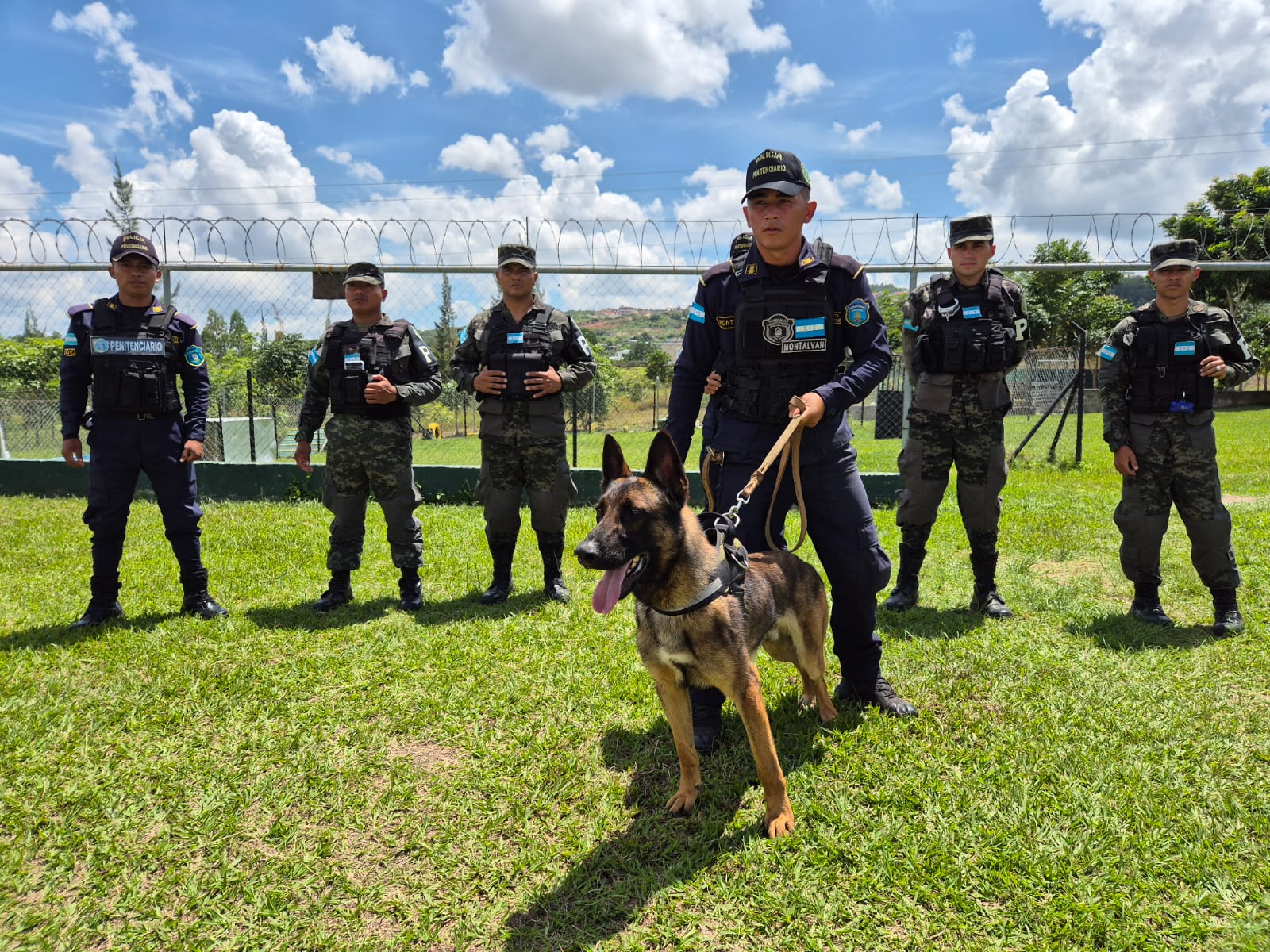 Centros Penitenciarios contarán con agentes caninos para guarda y protección